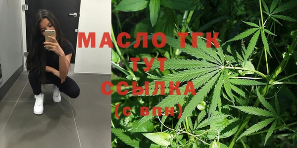 индика Абинск