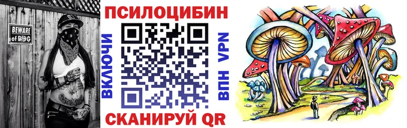 Псилоцибиновые грибы Psilocybine cubensis  купить   Кяхта 