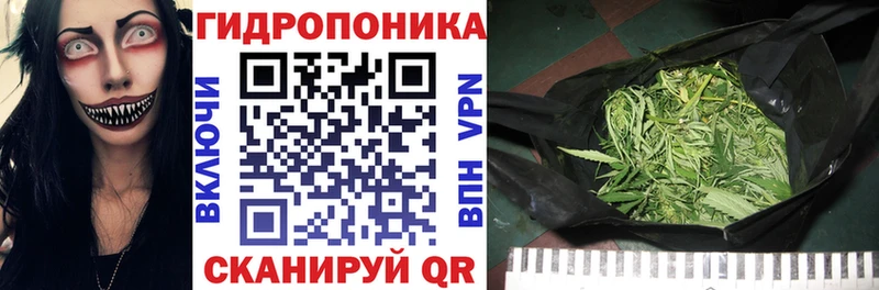 Бошки Шишки OG Kush  omg ссылки  Кяхта 